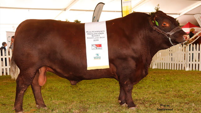 Platdrif-Sussex-JRE-16-190